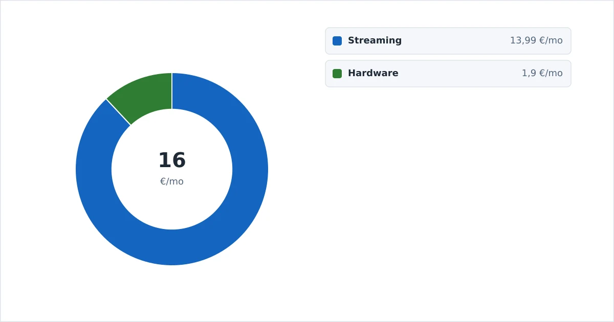 En oversikt over et strømmebudsjett med enhet, abonnementer, internett og VPN
