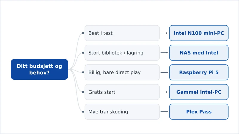 Et diagram som kobler maskinvare til en Plex-server sammen med budsjett og transkodingsbehov