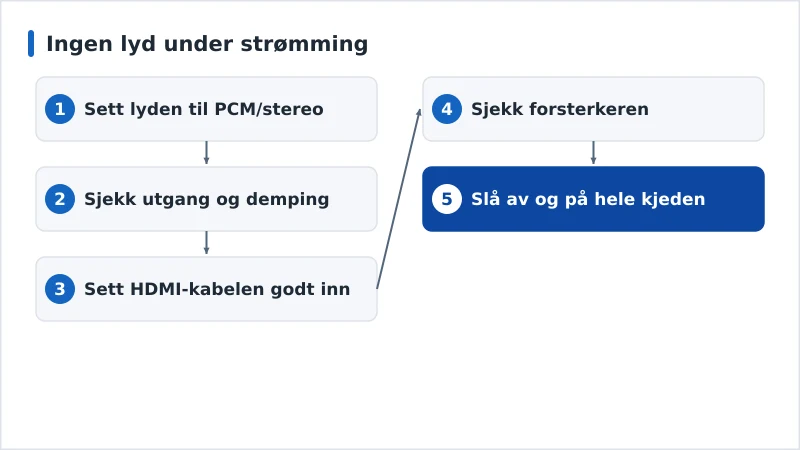 Et diagnoseforløp for manglende lyd fra lydformat til forsterker
